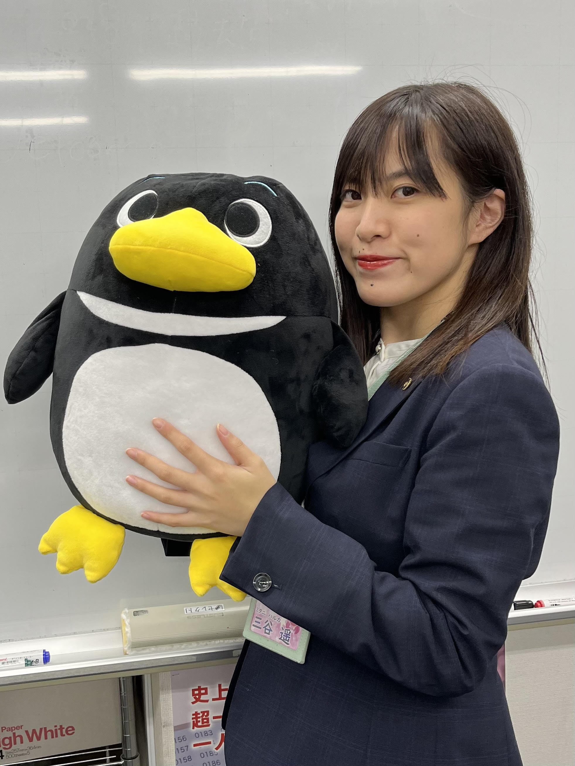 三谷 遥
